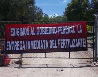 Programas sociales y estrategias políticas