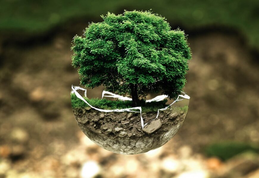 Los grandes retos del medio ambiente