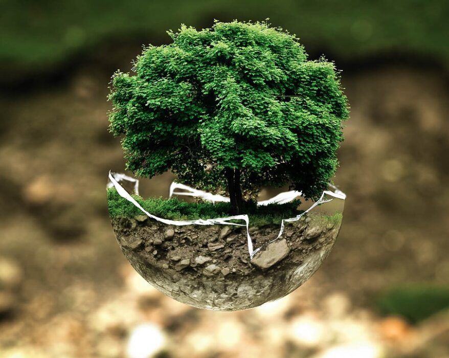 Los grandes retos del medio ambiente
