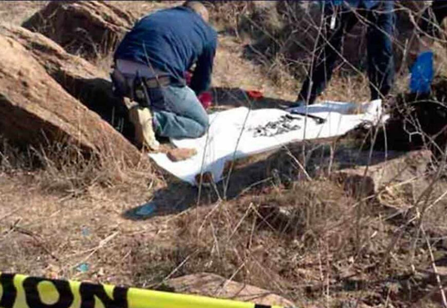 El sur de Guanajuato