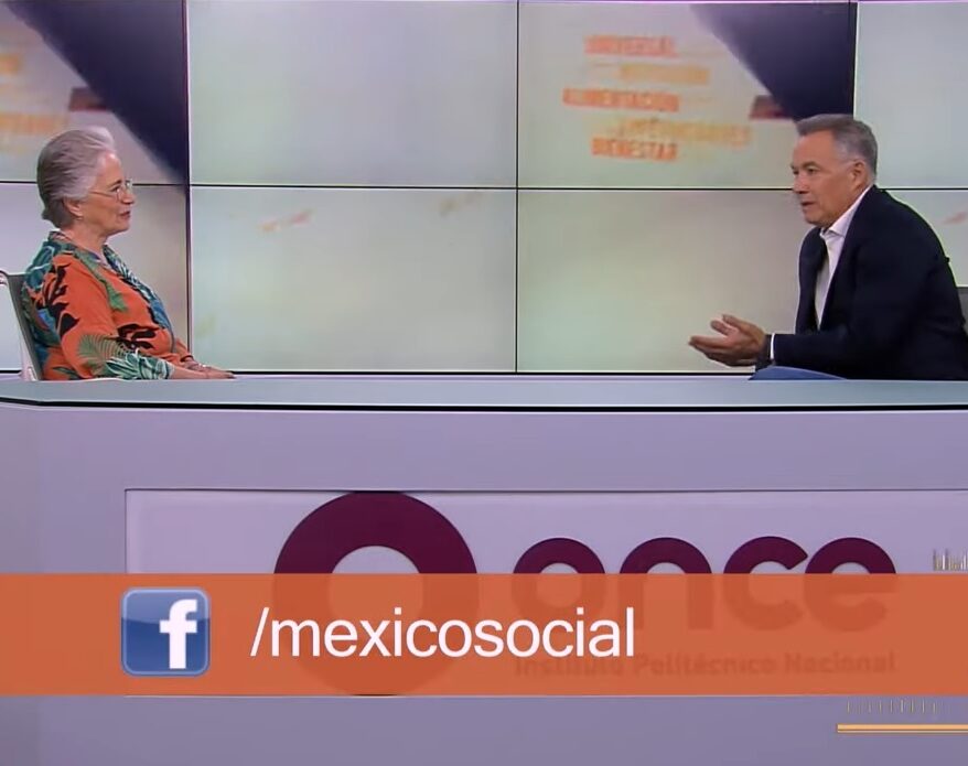 Informe Alternativo sobre los derechos de la niñez