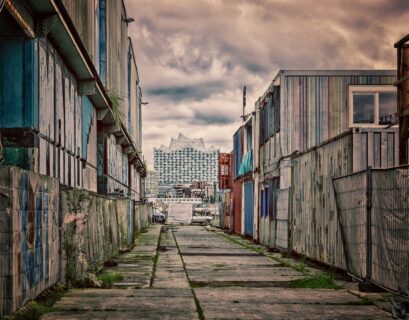 Florecimiento humano